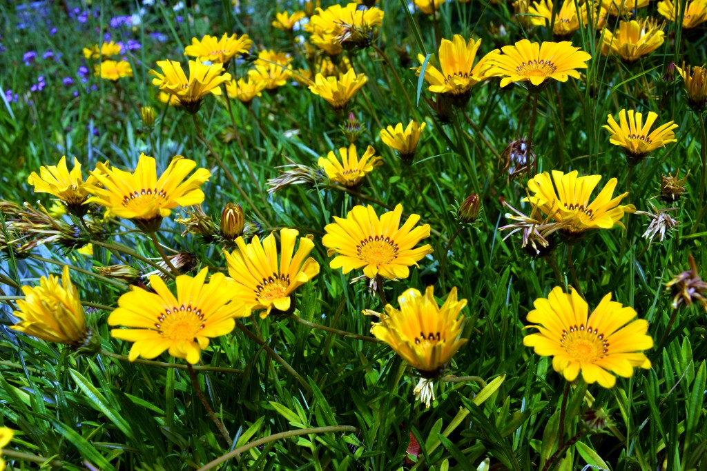 Foto de San Fernando (Cádiz), España