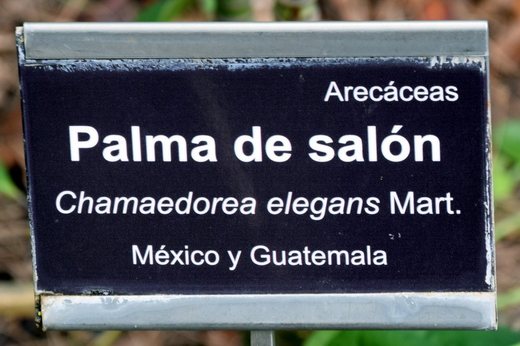 Foto de San Fernando (Cádiz), España