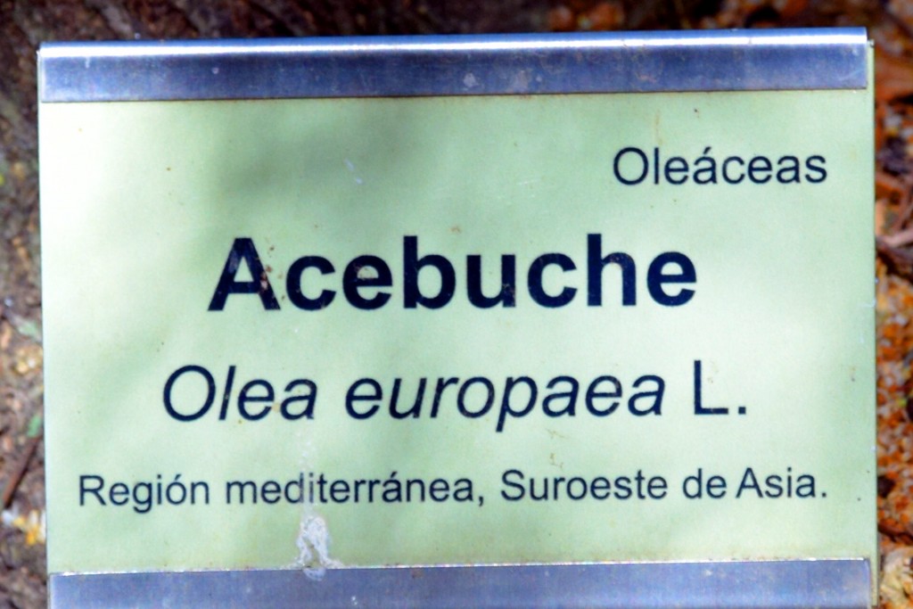 Foto de San Fernando (Cádiz), España