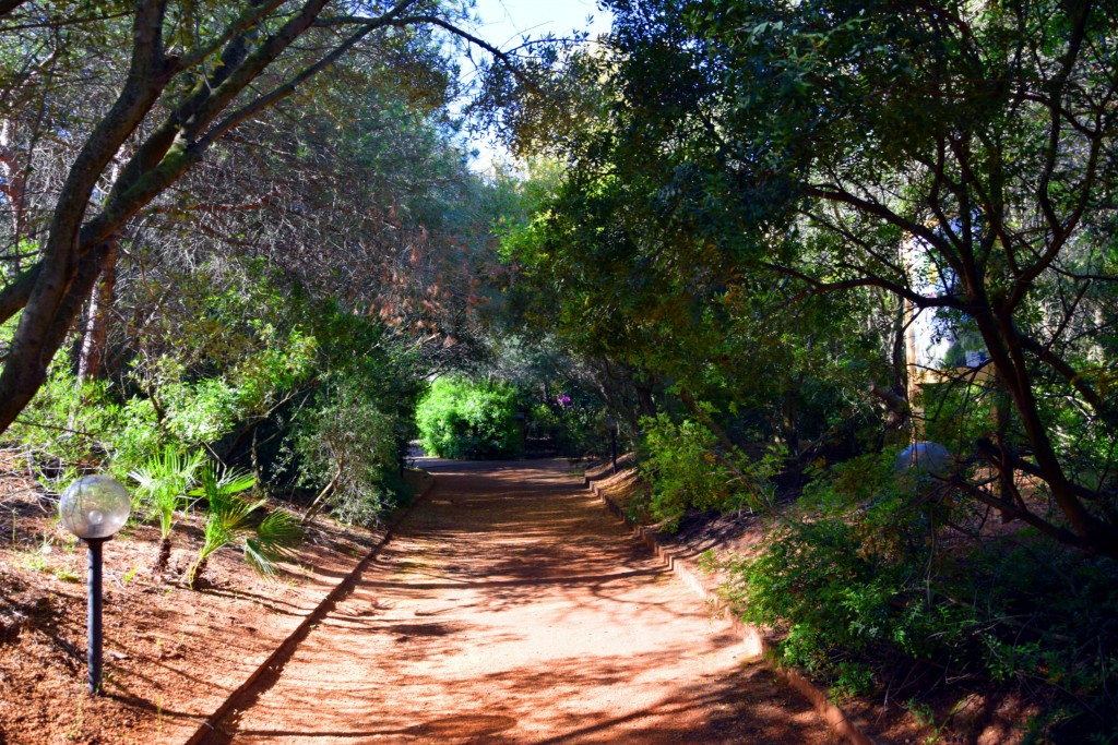 Foto de San Fernando (Cádiz), España