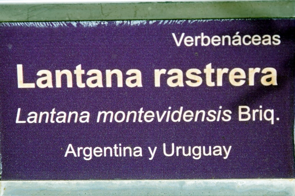 Foto de San Fernando (Cádiz), España