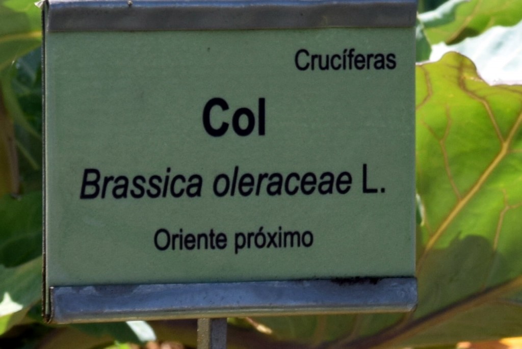 Foto de San Fernando (Cádiz), España