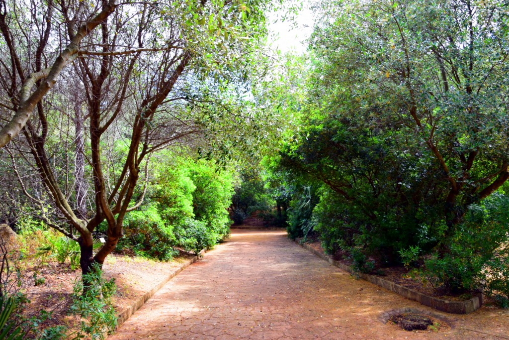 Foto de San Fernando (Cádiz), España