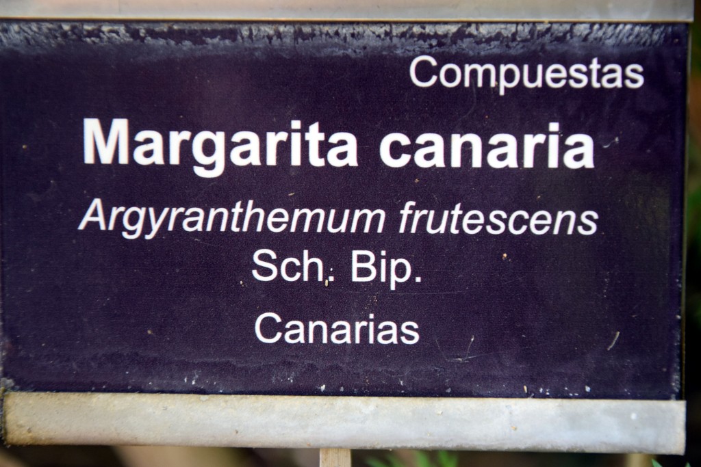 Foto de San Fernando (Cádiz), España