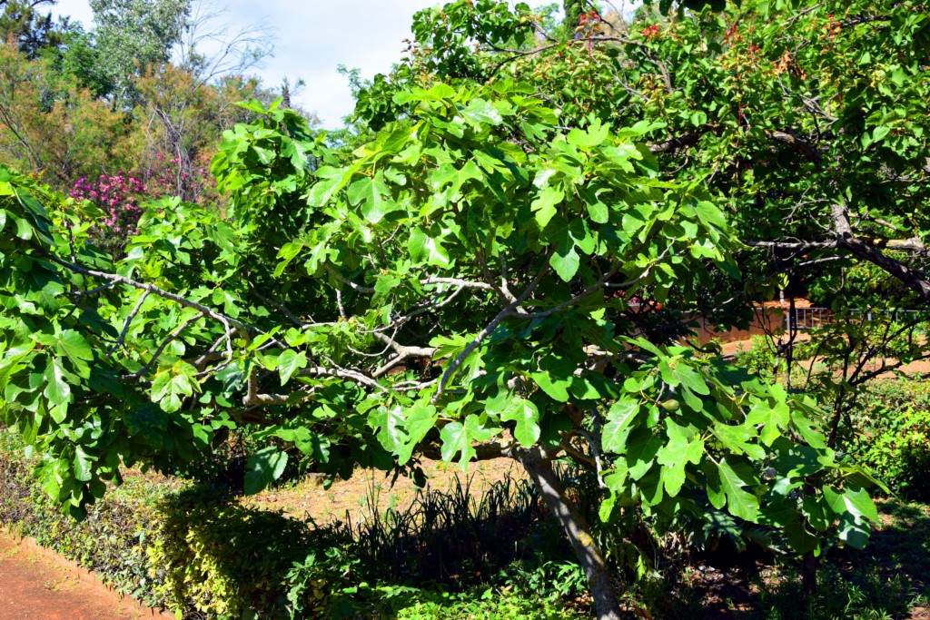 Foto de San Fernando (Cádiz), España