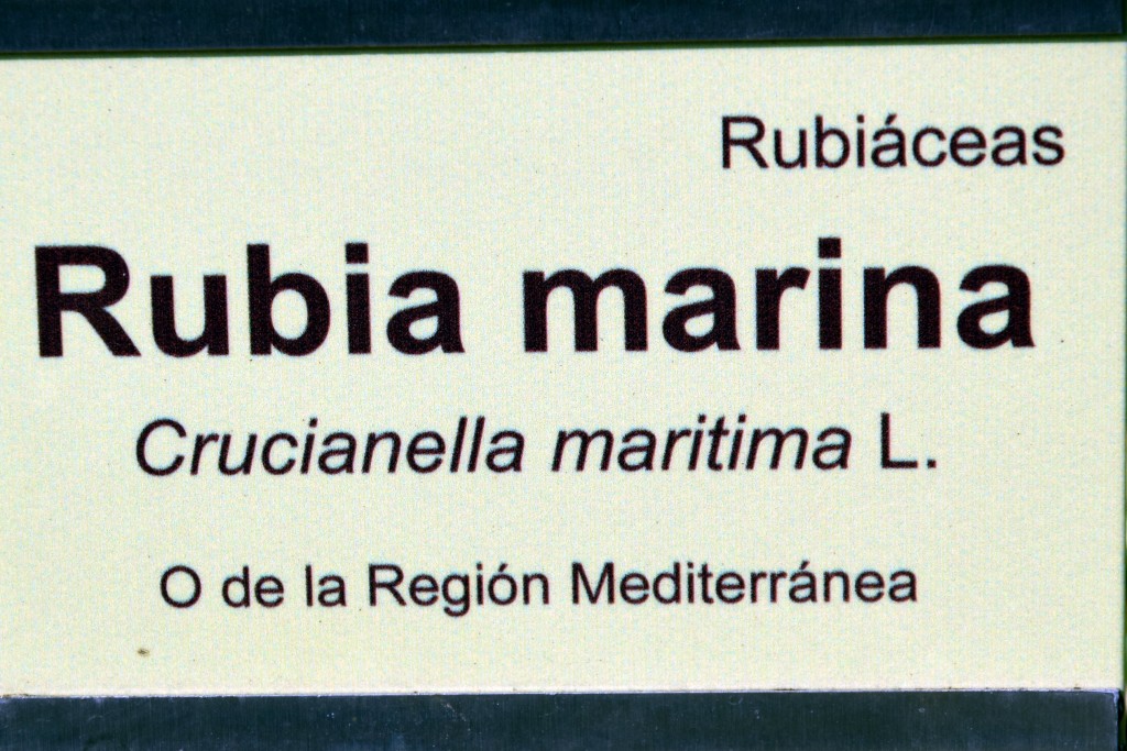 Foto de San Fernando (Cádiz), España