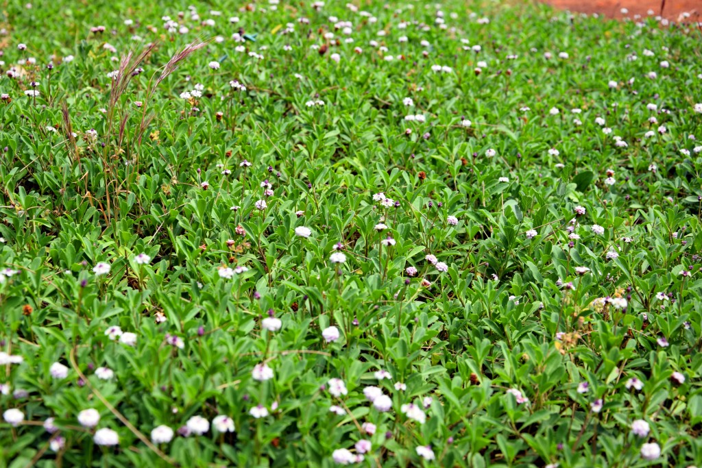 Foto de San Fernando (Cádiz), España