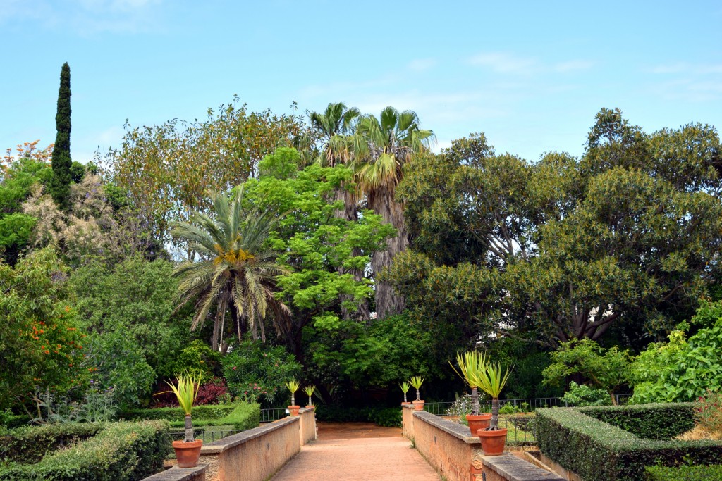 Foto de San Fernando (Cádiz), España