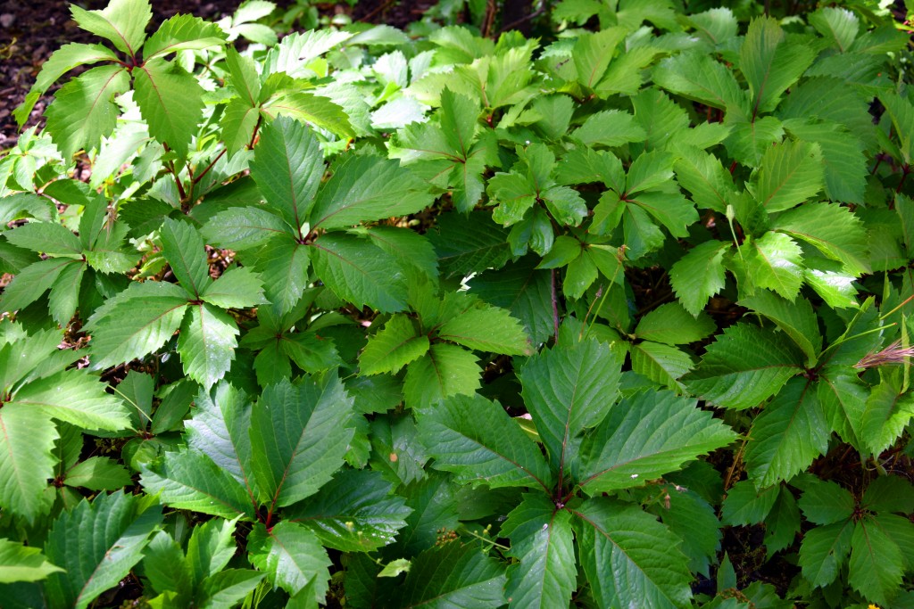 Foto de San Fernando (Cádiz), España