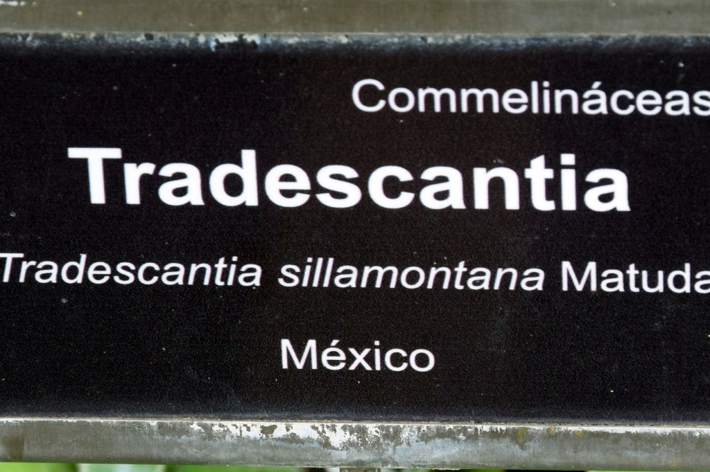 Foto de San Fernando (Cádiz), España