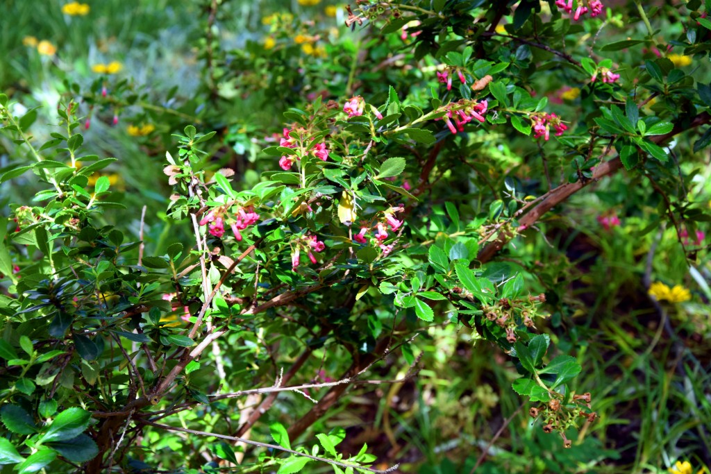 Foto de San Fernando (Cádiz), España