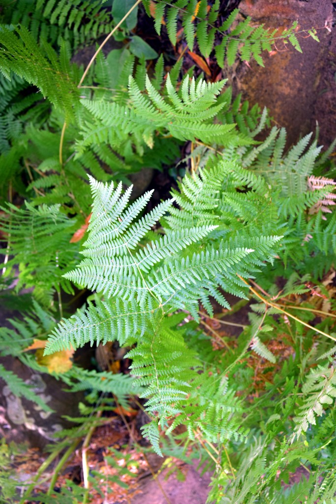 Foto de San Fernando (Cádiz), España