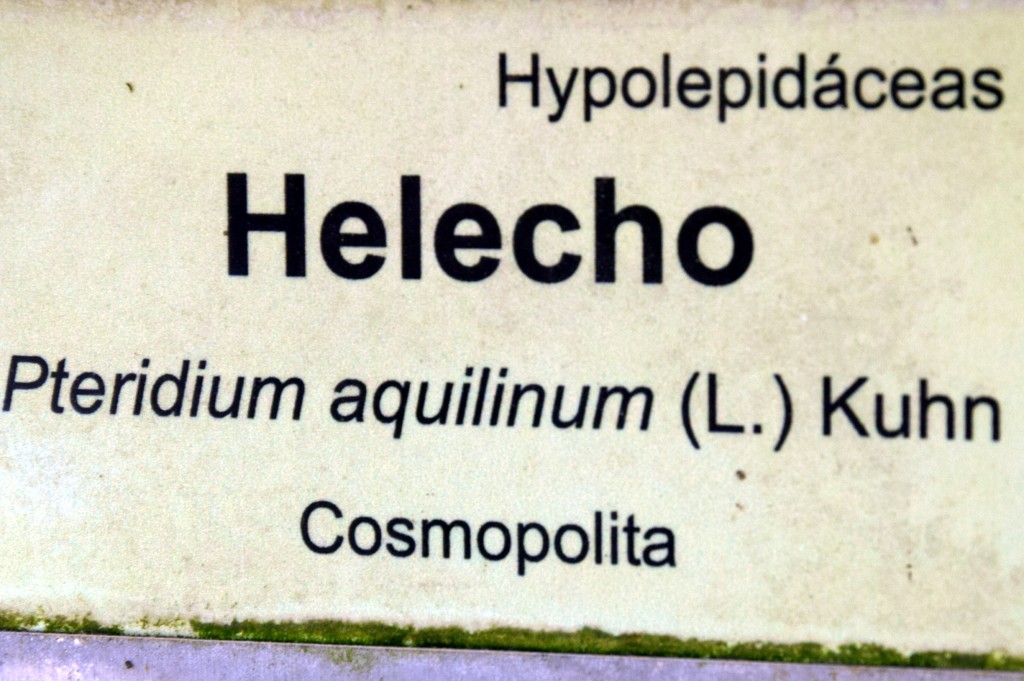 Foto de San Fernando (Cádiz), España