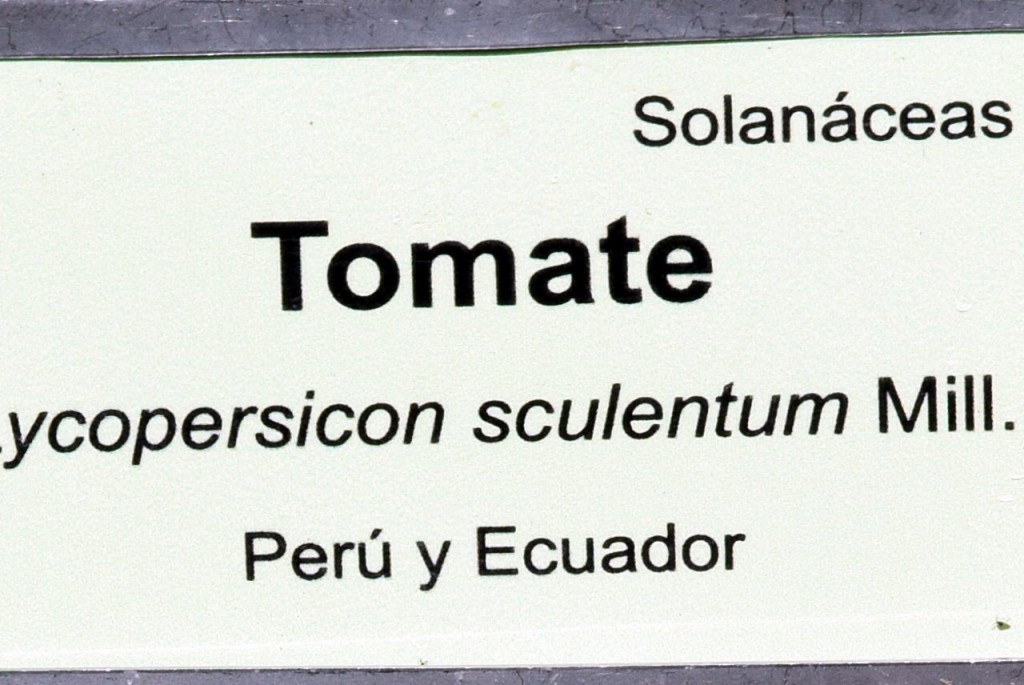 Foto de San Fernando (Cádiz), España