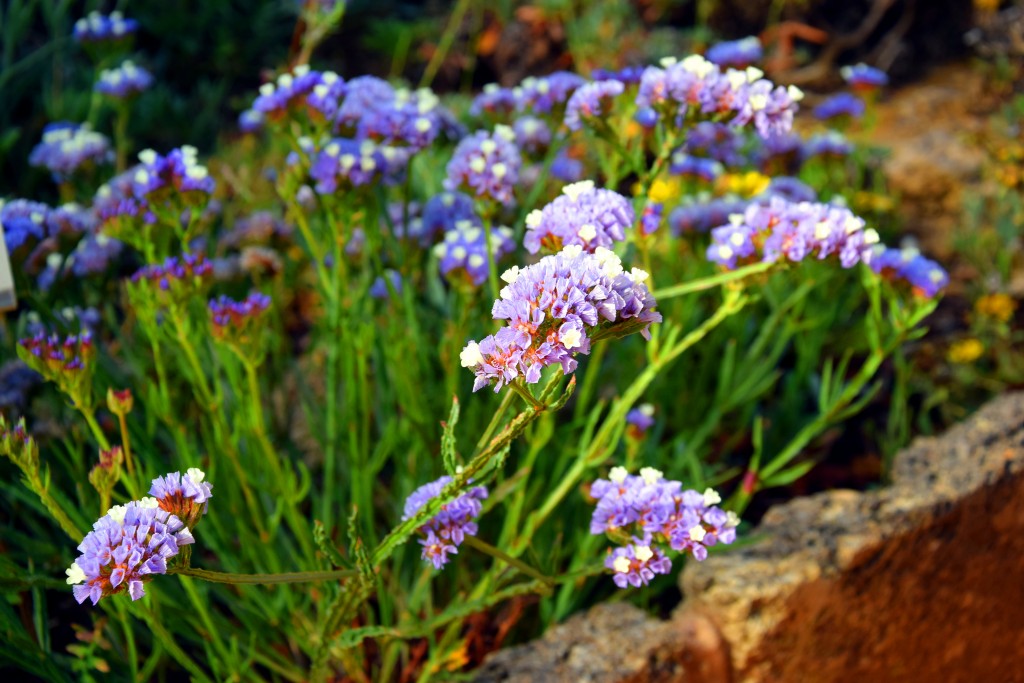 Foto de San Fernando (Cádiz), España
