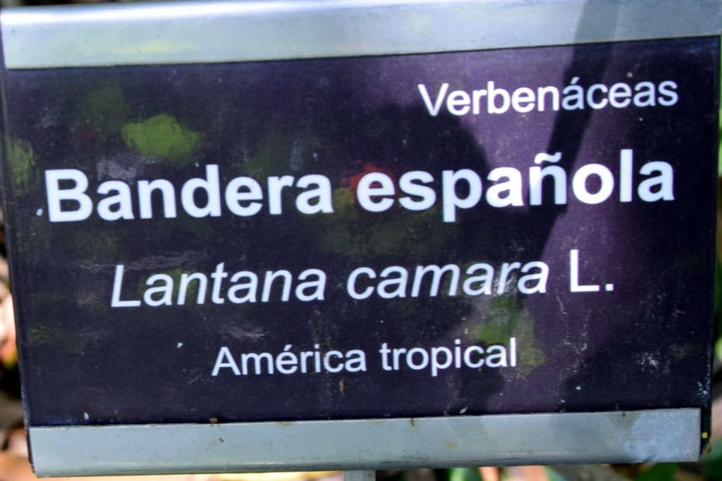 Foto de San Fernando (Cádiz), España