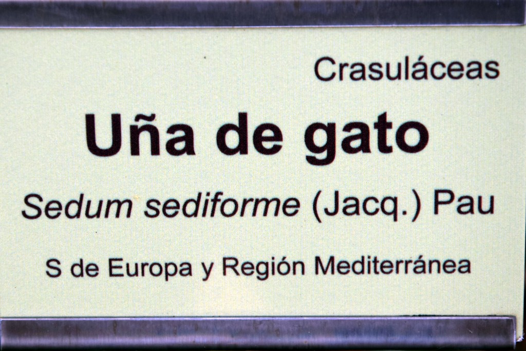 Foto de San Fernando (Cádiz), España