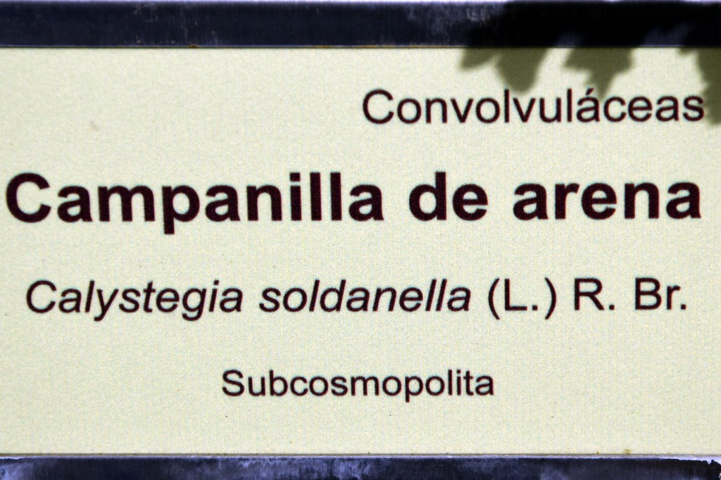 Foto de San Fernando (Cádiz), España