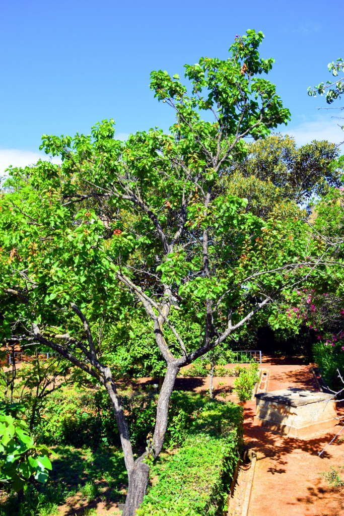 Foto de San Fernando (Cádiz), España