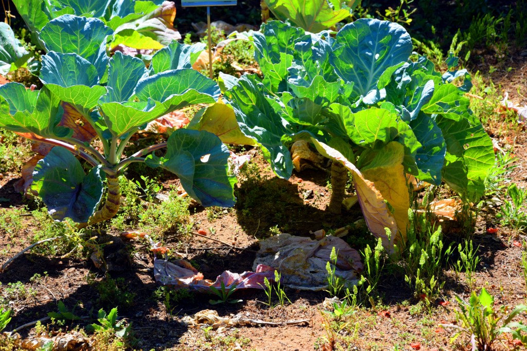 Foto de San Fernando (Cádiz), España