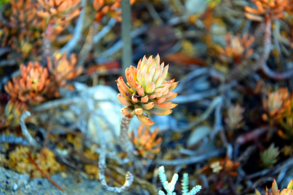 Foto de San Fernando (Cádiz), España