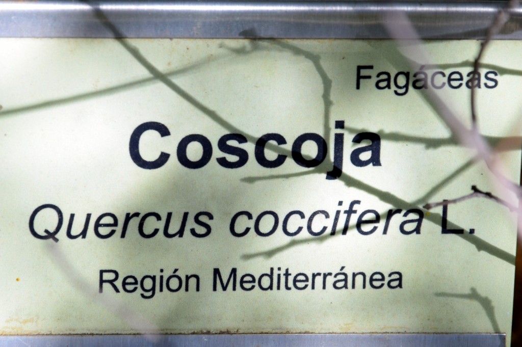 Foto de San Fernando (Cádiz), España