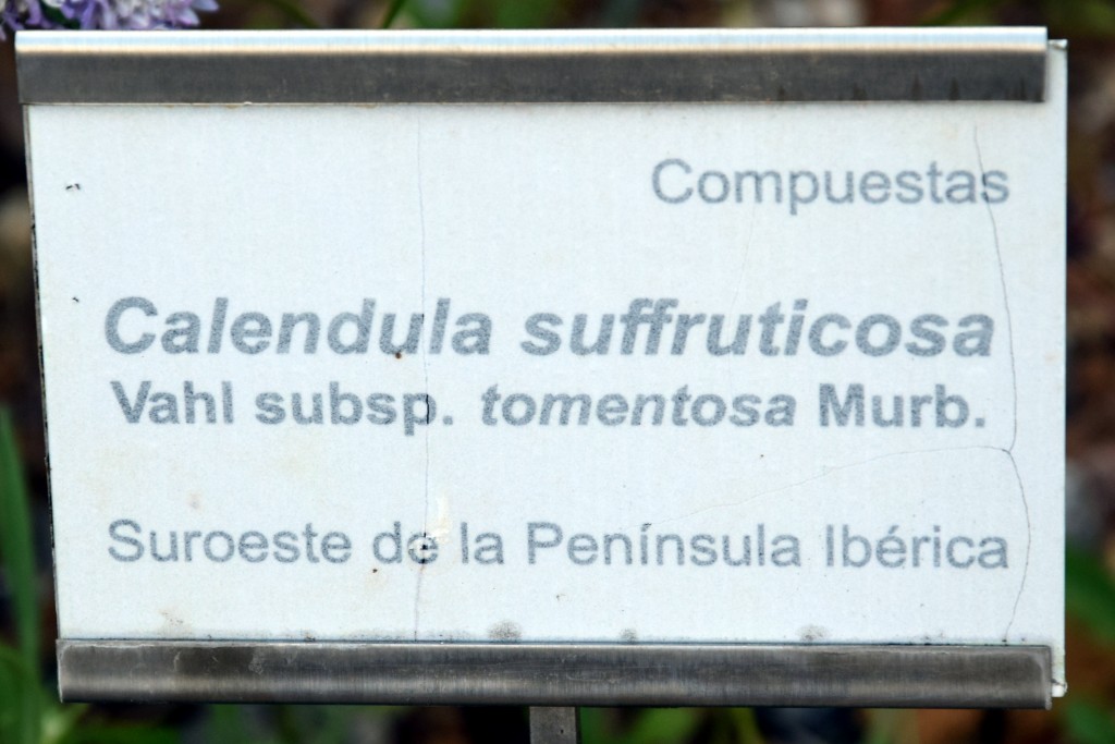 Foto de San Fernando (Cádiz), España