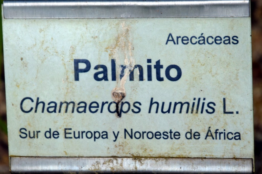 Foto de San Fernando (Cádiz), España