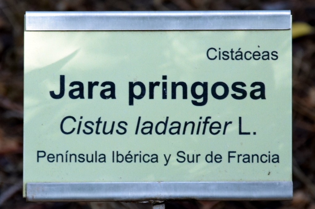 Foto de San Fernando (Cádiz), España