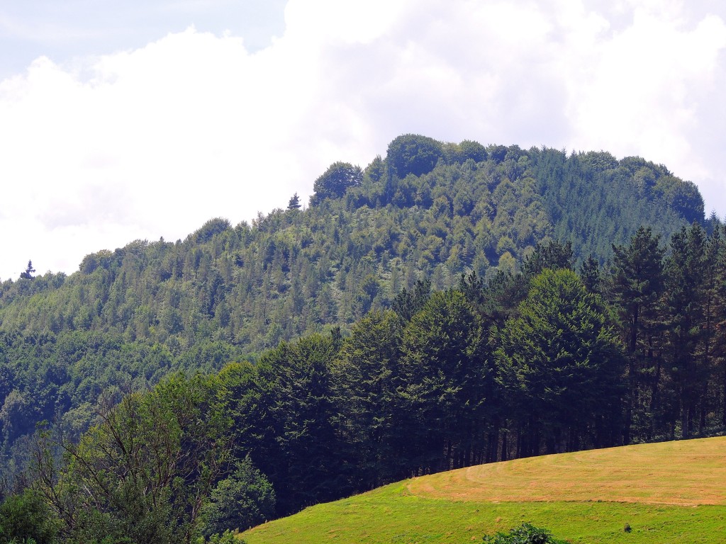 Foto de Astigarreta (Gipuzkoa), España