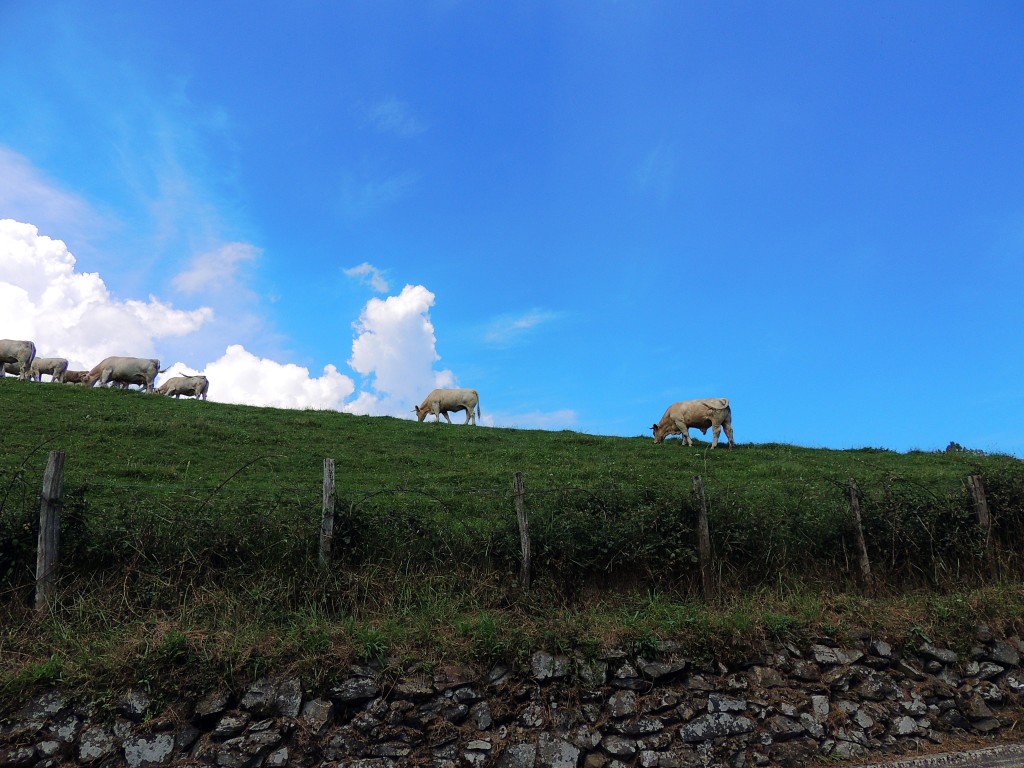 Foto de Astigarreta (Gipuzkoa), España
