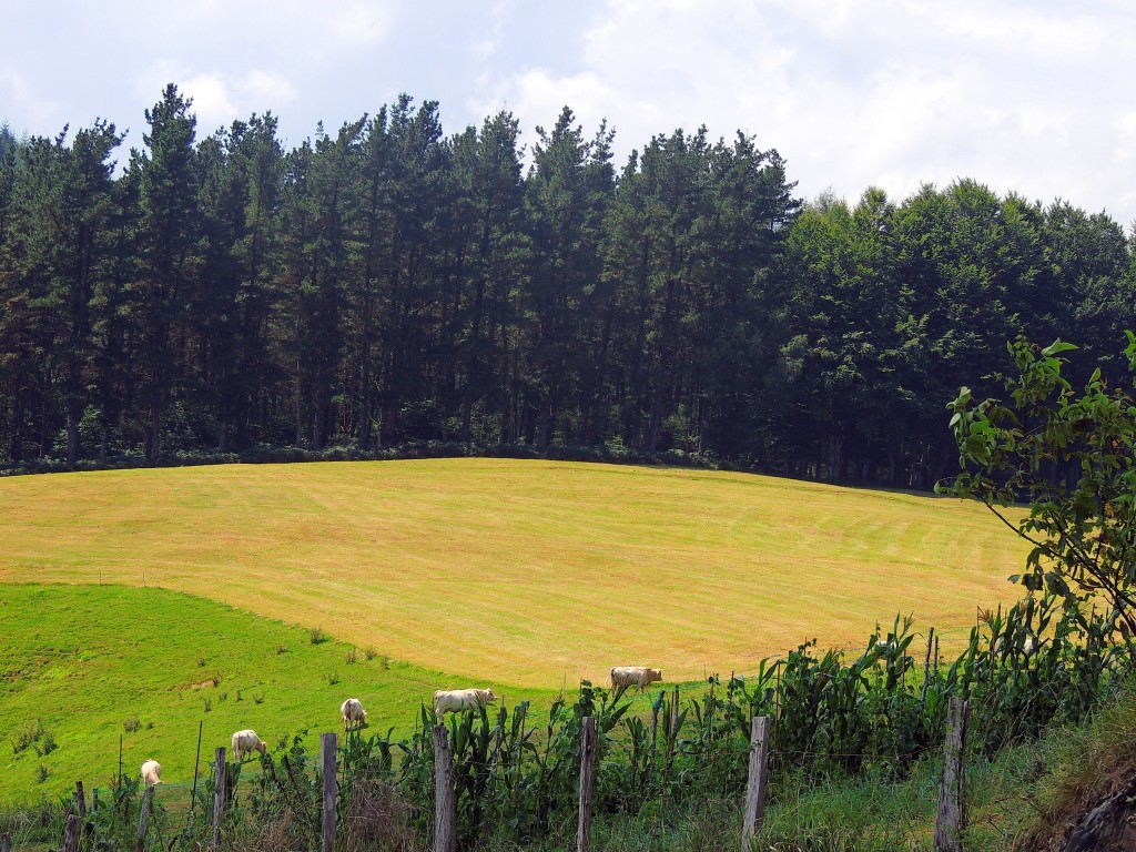 Foto de Astigarreta (Gipuzkoa), España