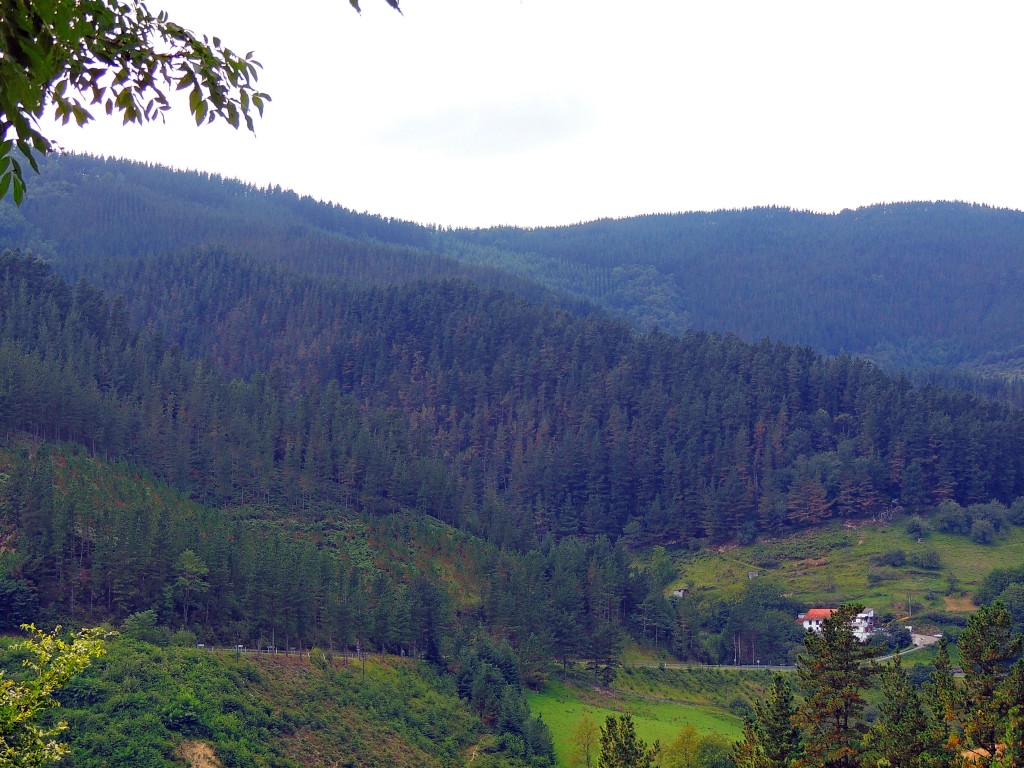 Foto de Astigarreta (Gipuzkoa), España