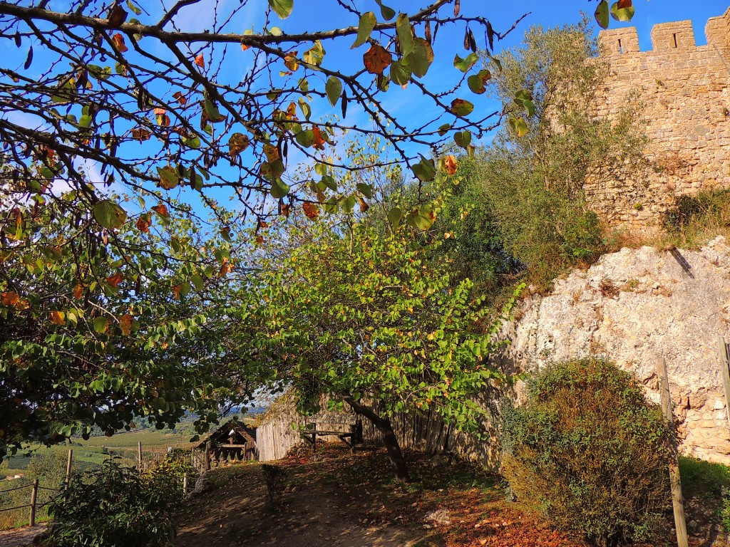 Foto de Obidos (Lisbon), Portugal