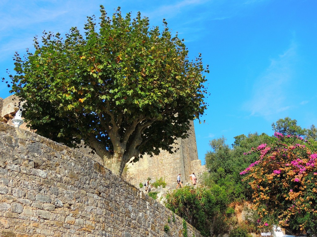 Foto de Obidos (Lisbon), Portugal