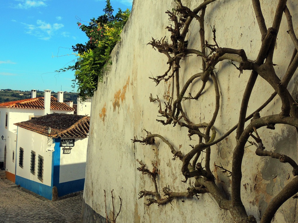 Foto de Obidos (Lisbon), Portugal
