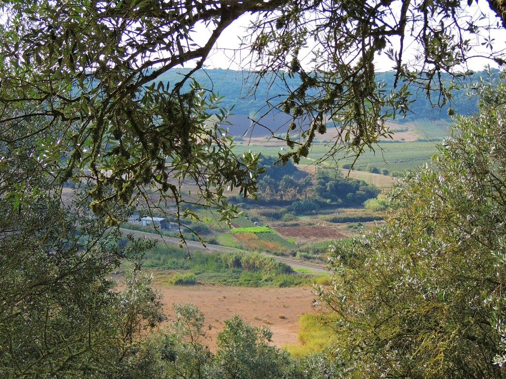 Foto de Obidos (Lisbon), Portugal