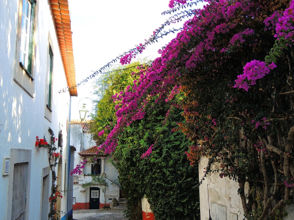 Foto de Obidos (Lisbon), Portugal