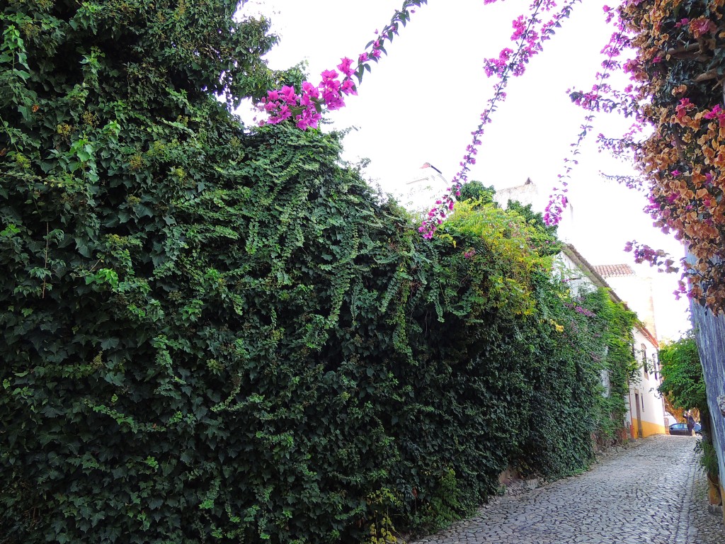Foto de Obidos (Lisbon), Portugal