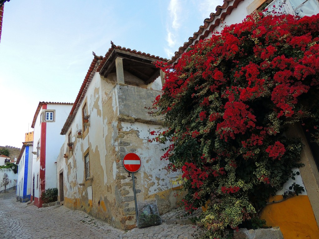 Foto de Obidos (Lisbon), Portugal