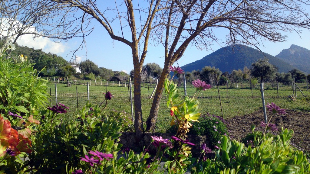 Foto de Cádiz (Andalucía), España