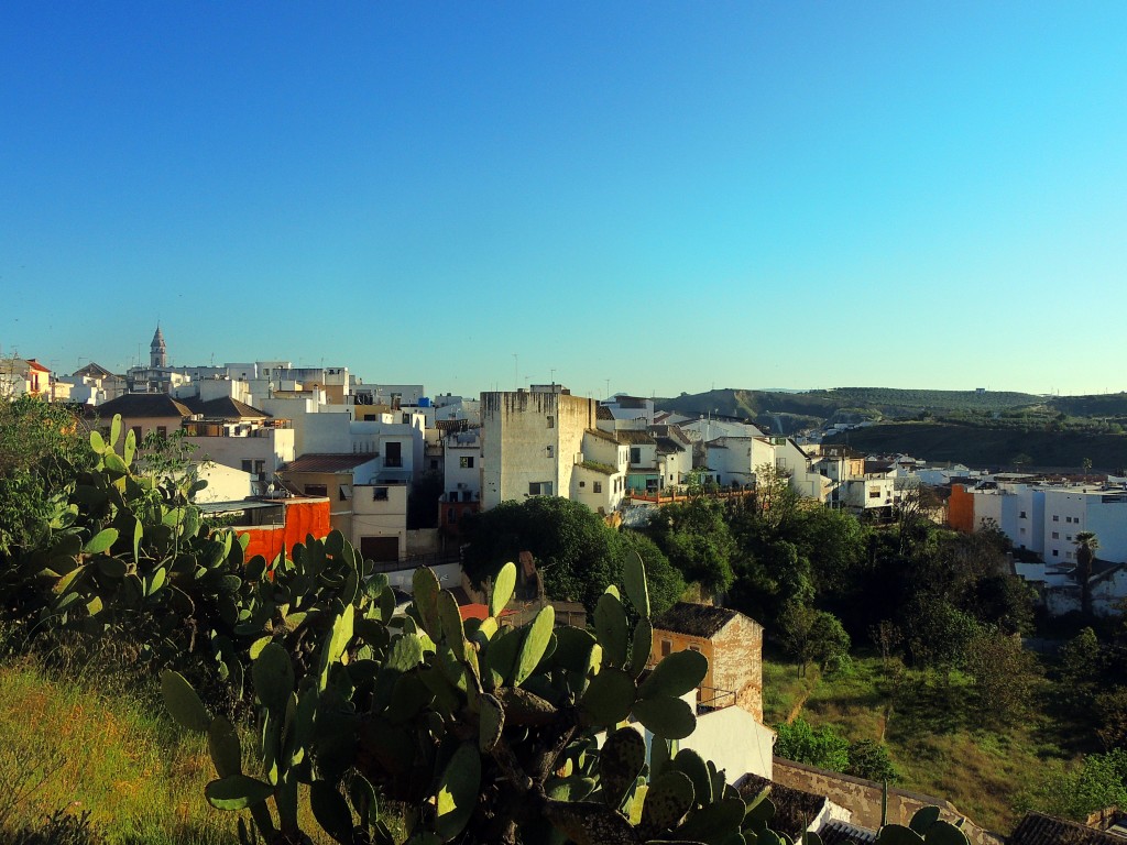 Foto de Puente Genil (Córdoba), España