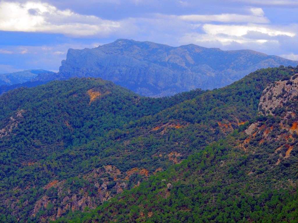 Foto de Puerto de las Palomas (Jaén), España