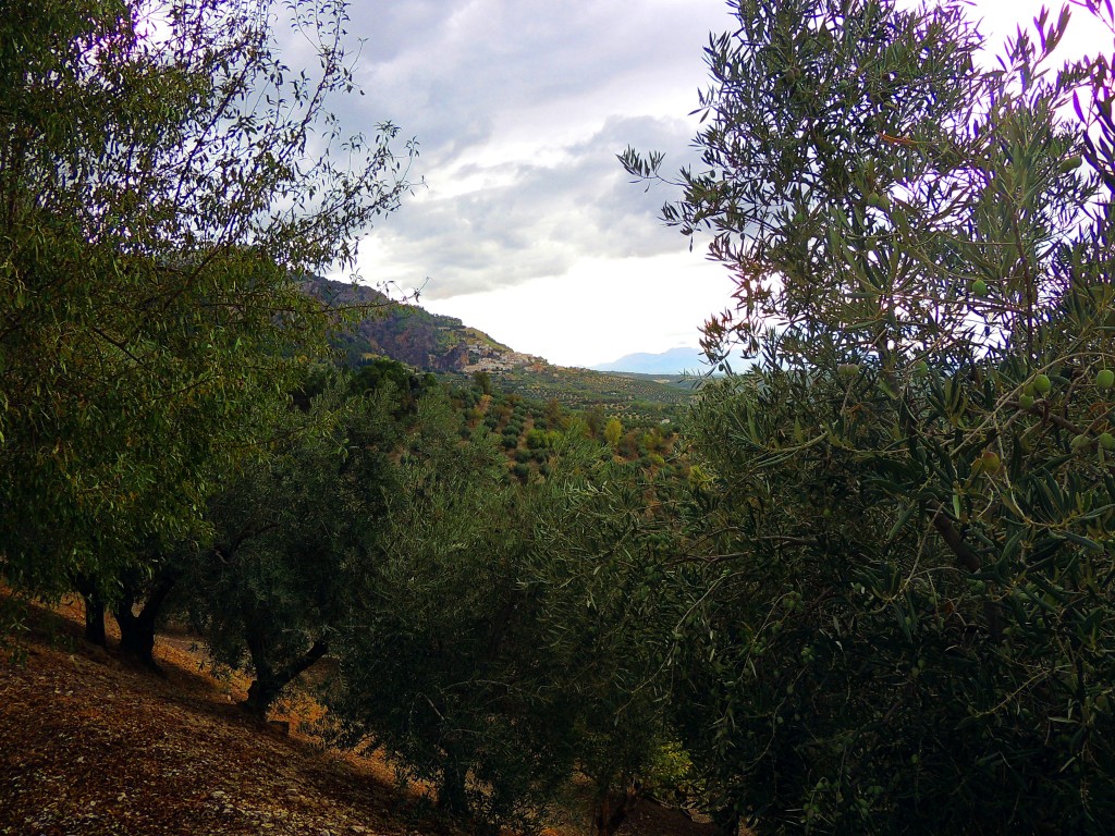 Foto de Puerto de las Palomas (Jaén), España