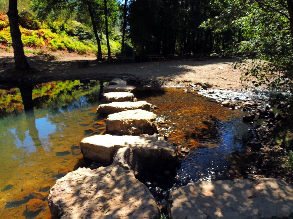 Foto de Río Ruecas (Cáceres), España