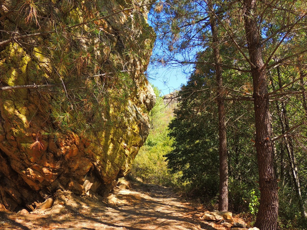 Foto de Río Ruecas (Cáceres), España