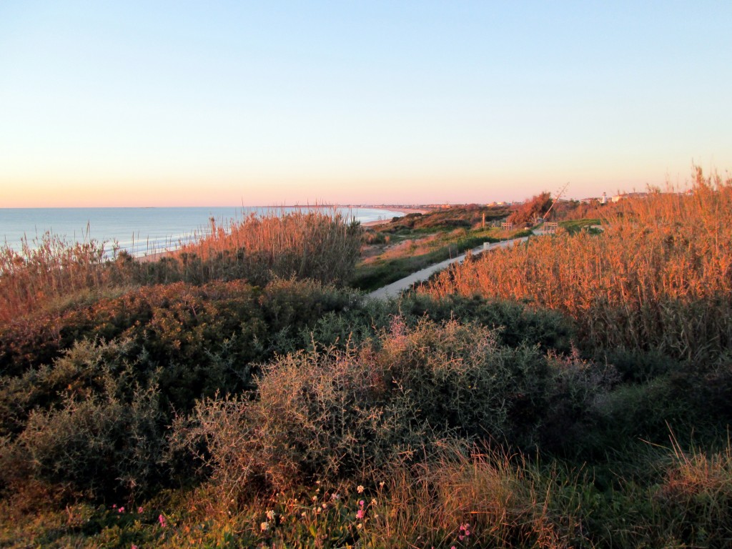 Foto de Torre del Puerco (Cádiz), España