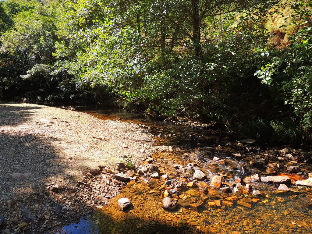 Foto de Río Ruecas (Cáceres), España