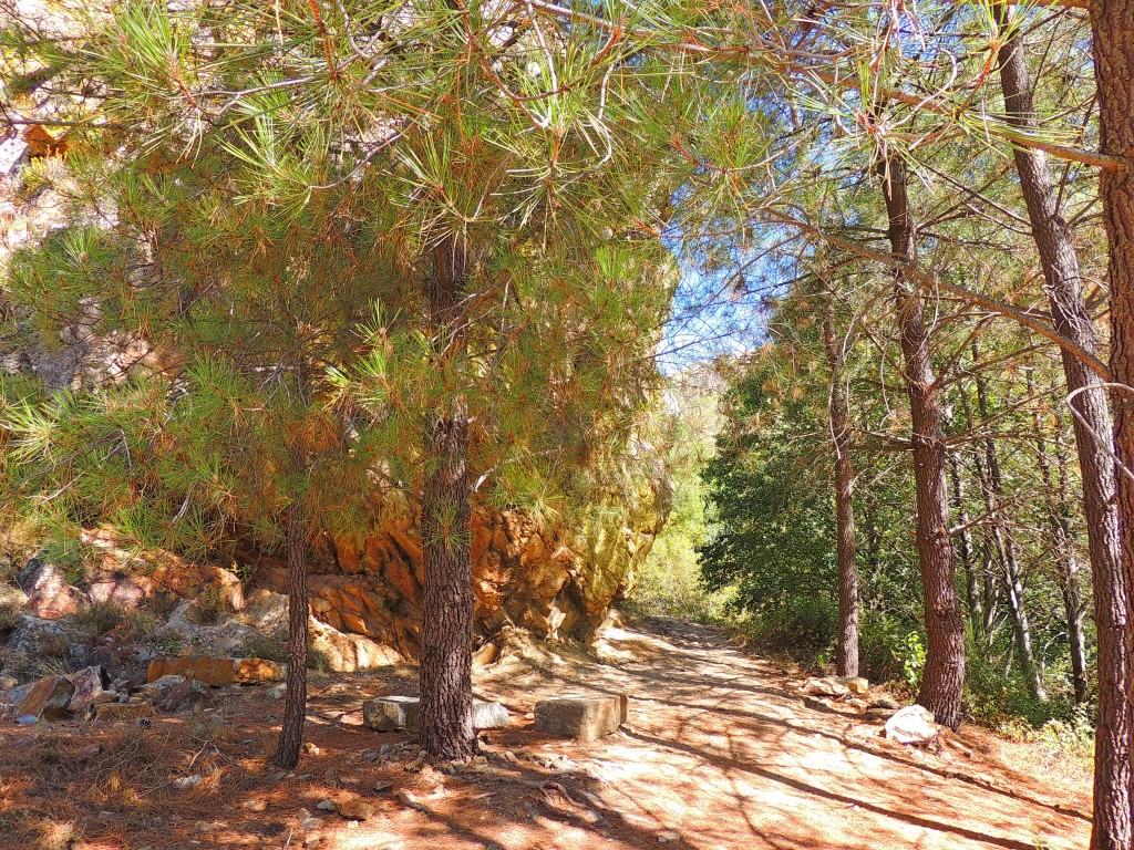 Foto de Río Ruecas (Cáceres), España