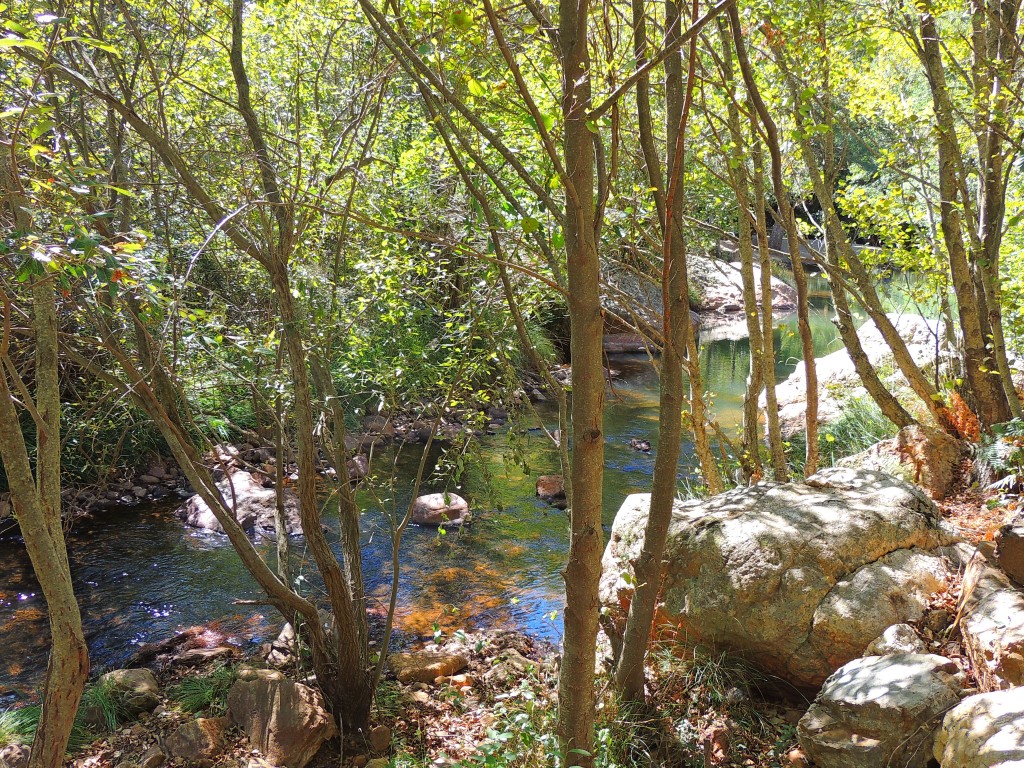 Foto de Río Ruecas (Cáceres), España